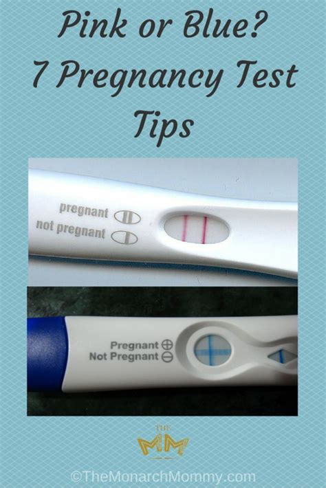 pregnancy test not enough water